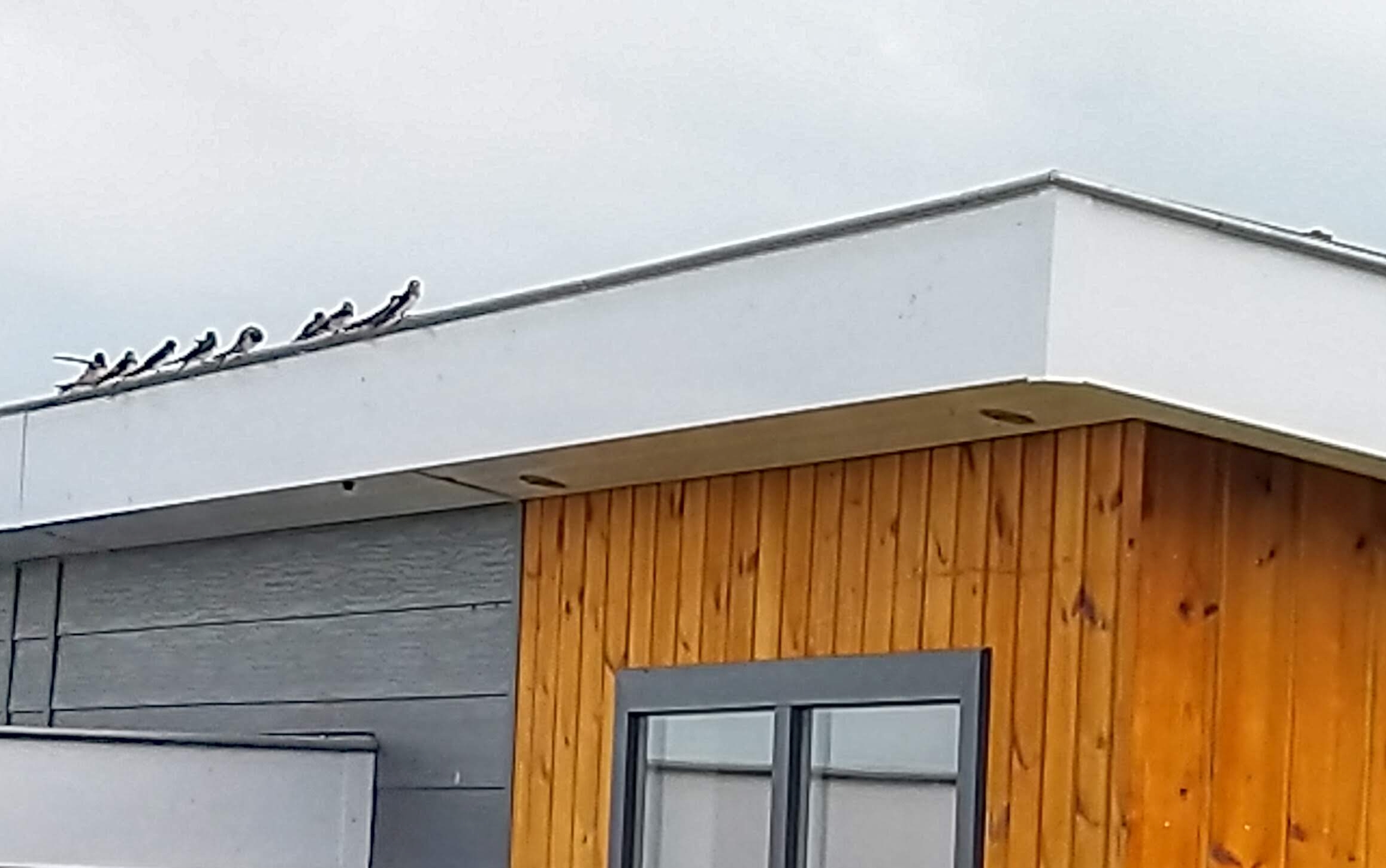 Zonnepanelen geplaatst op het dak van de zorgwoning.